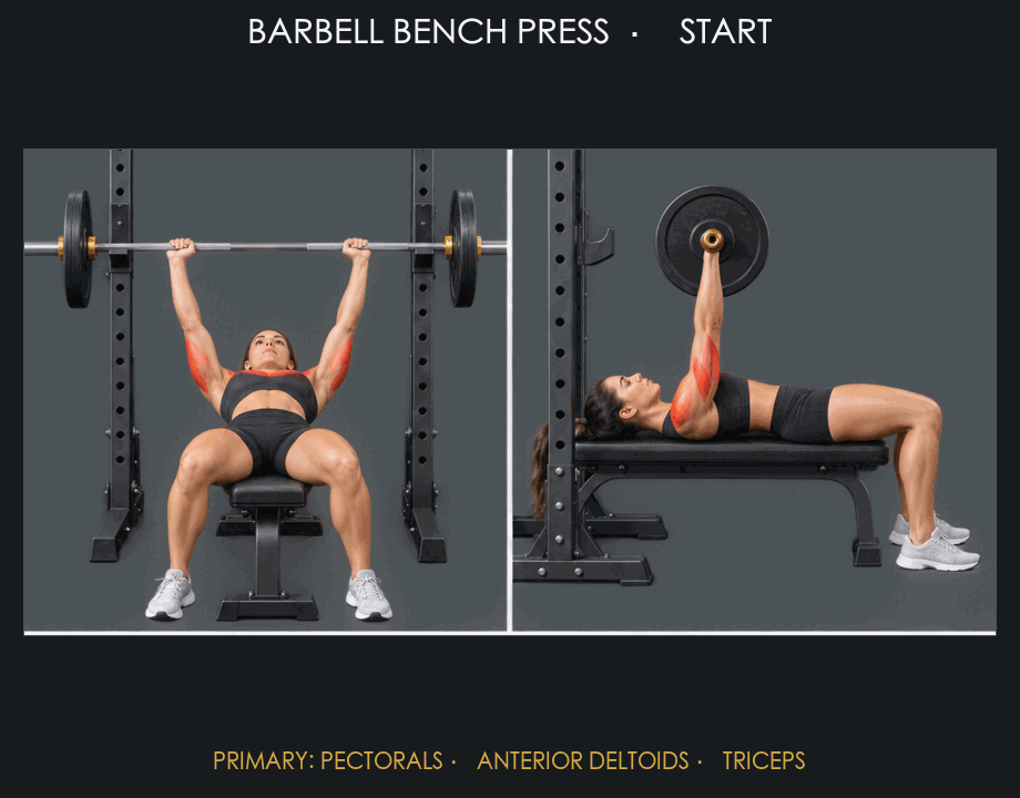 Barbell Bench Press