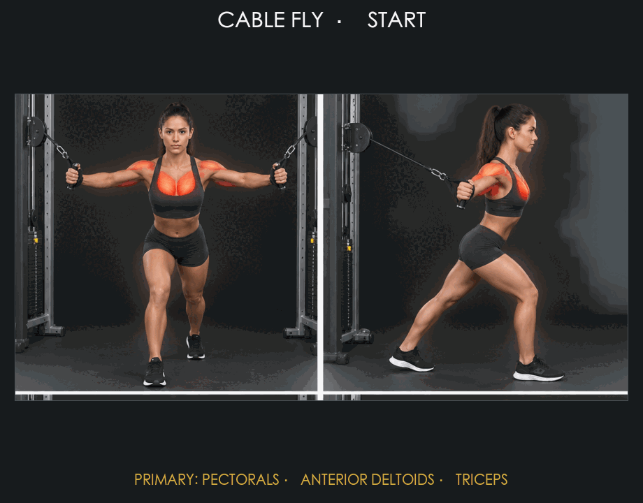 Cable Fly