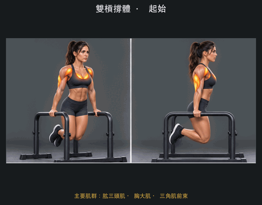 雙槓撐體