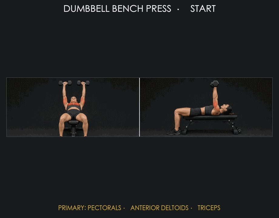 Dumbbell Bench Press