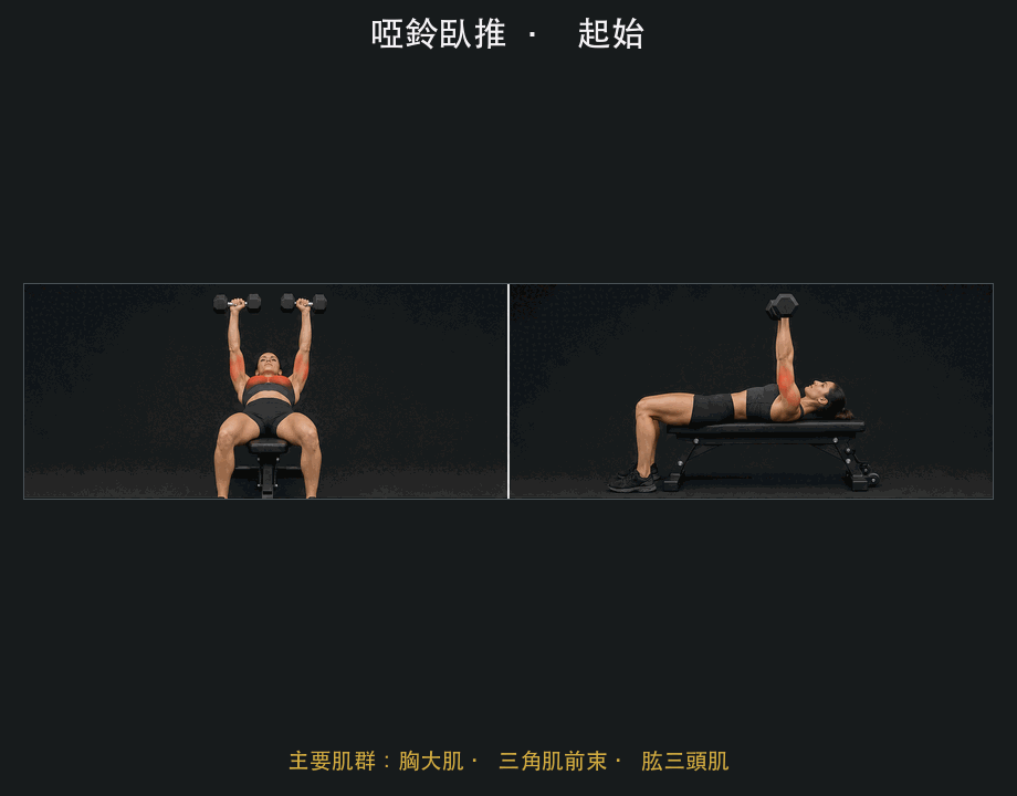 啞鈴臥推