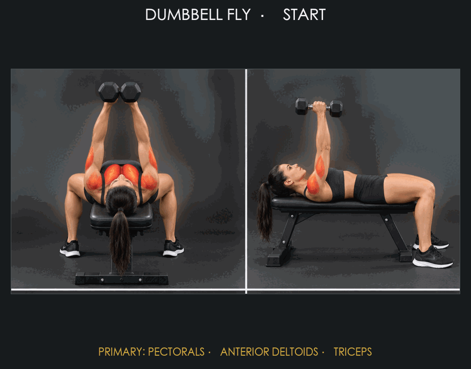Dumbbell Fly