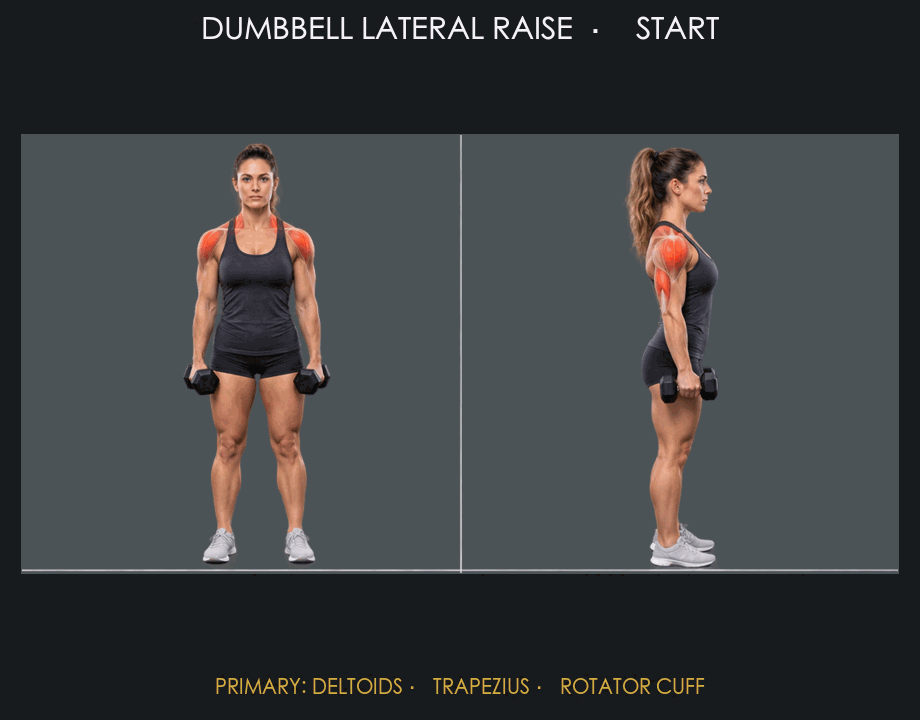 Dumbbell Lateral Raise