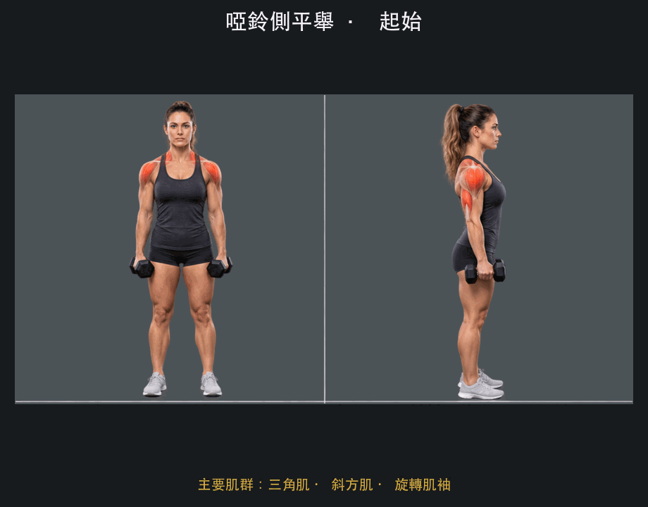 啞鈴側平舉