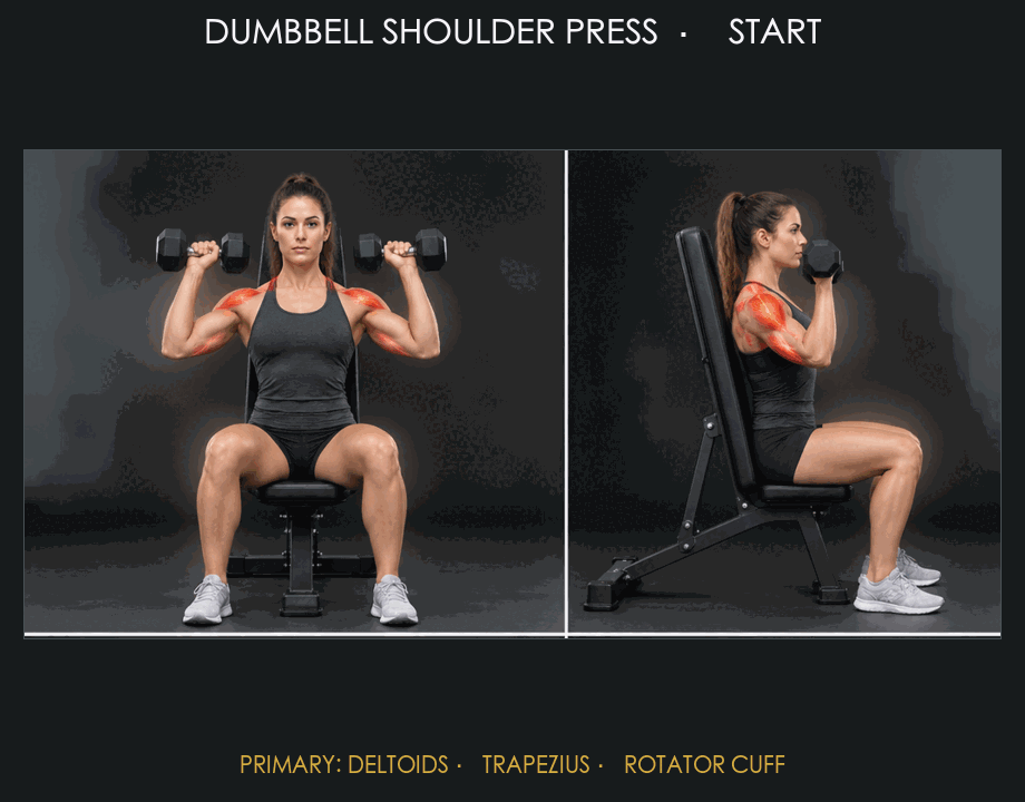 Dumbbell Shoulder Press