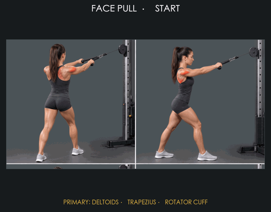 Face Pull