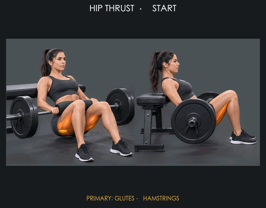 Hip Thrust