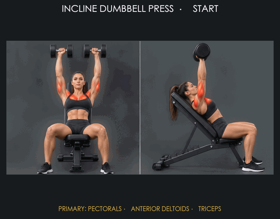 Incline Dumbbell Press