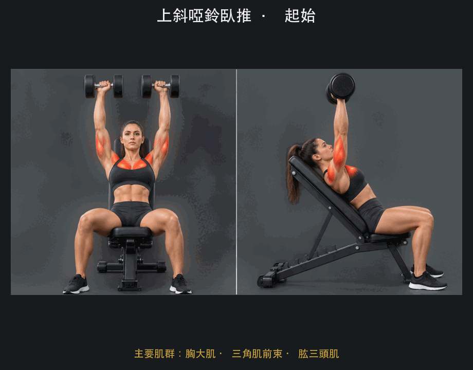 上斜啞鈴臥推