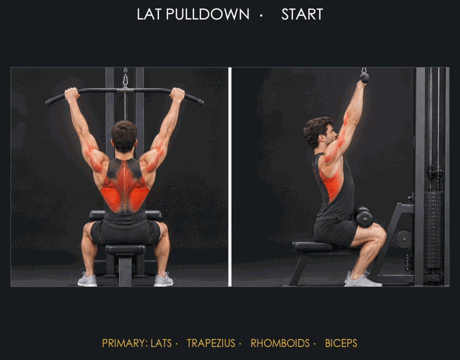 Lat Pulldown