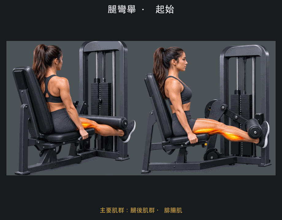 腿彎舉