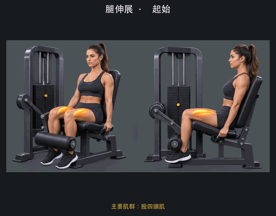 腿伸展