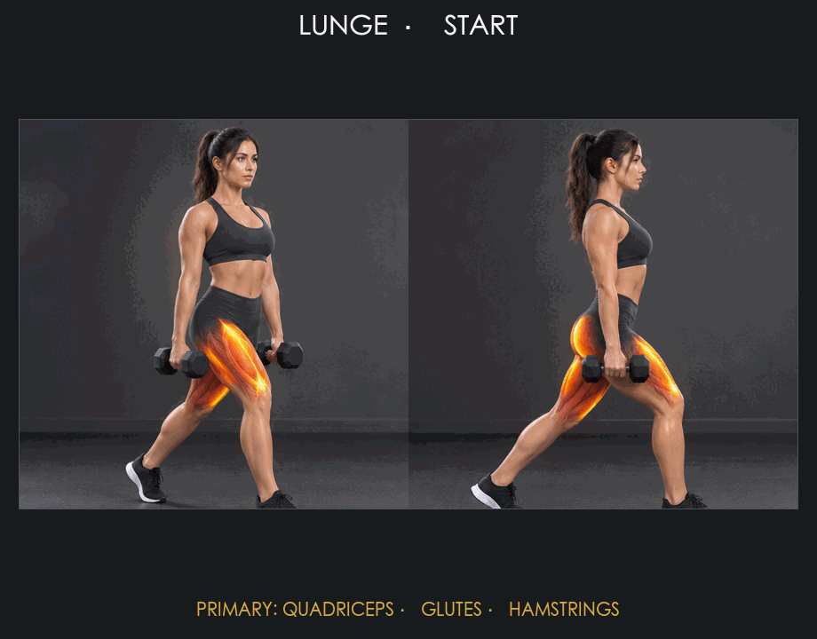 Lunge