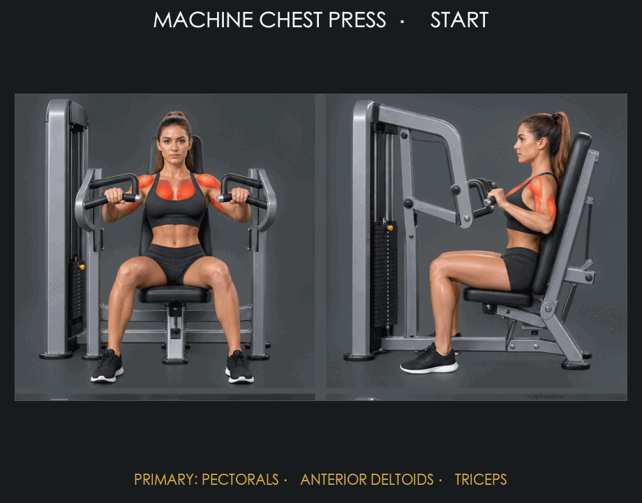 Machine Chest Press