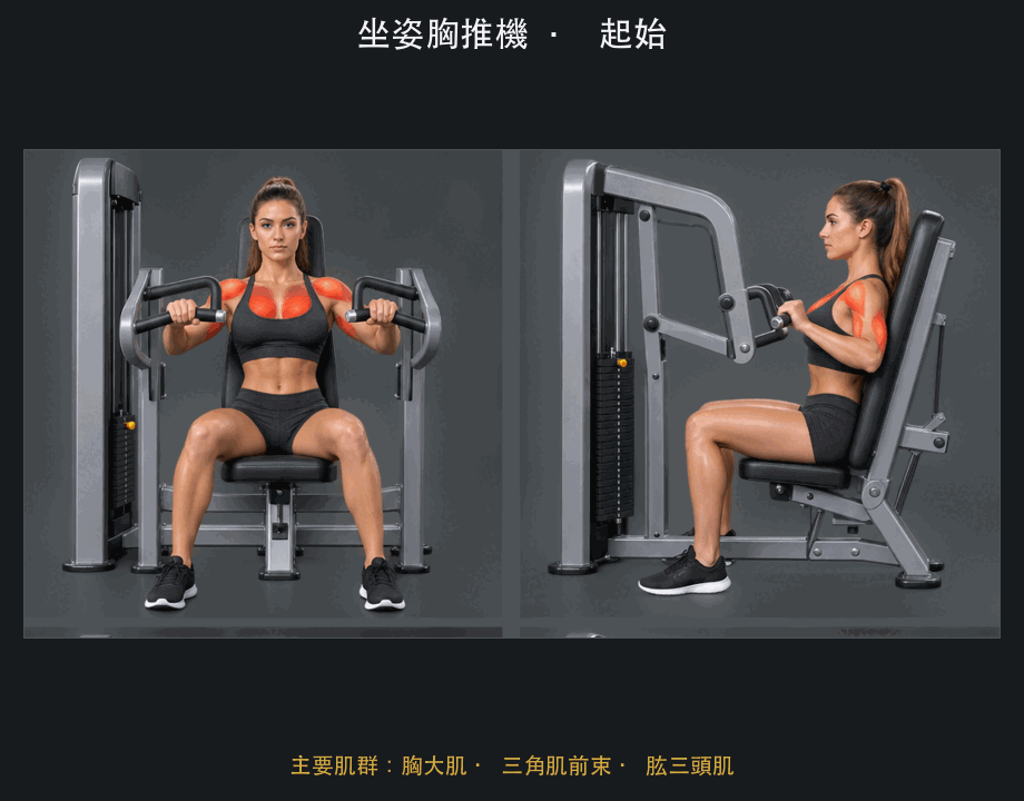 坐姿胸推機