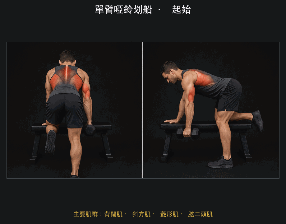 單臂啞鈴划船