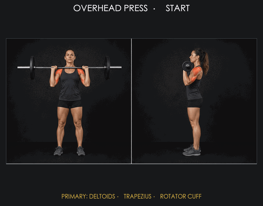 Overhead Press