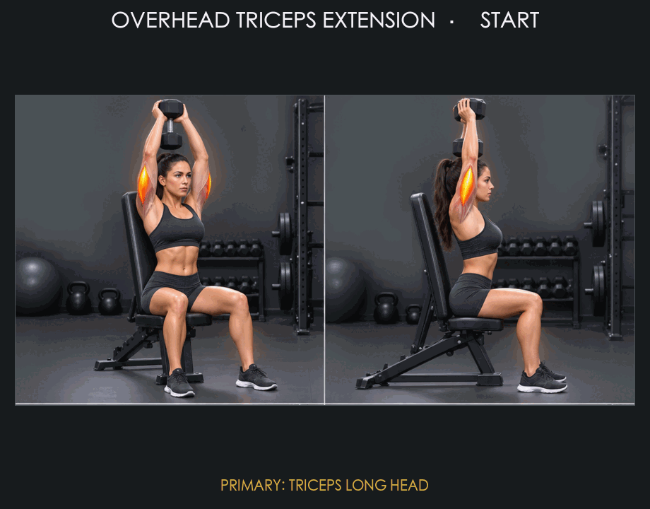 Overhead Triceps Extension