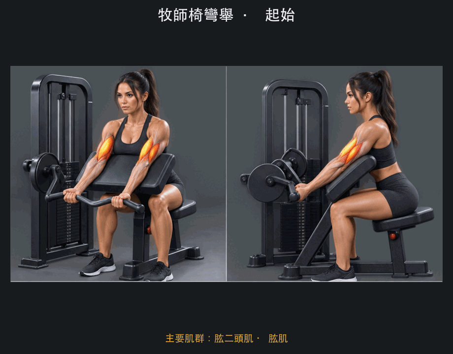 牧師椅彎舉