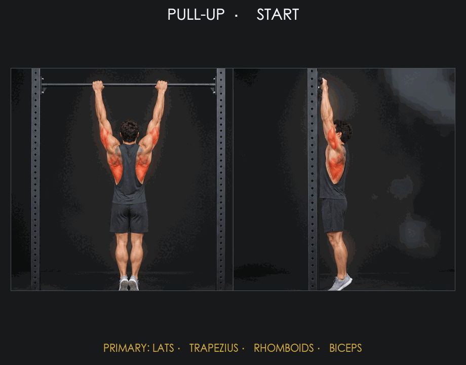 Pull-up