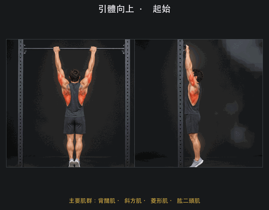 引體向上 四格動作示範
