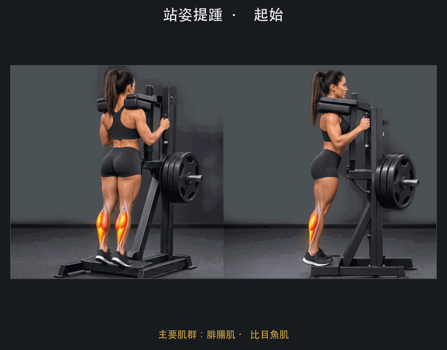 站姿提踵