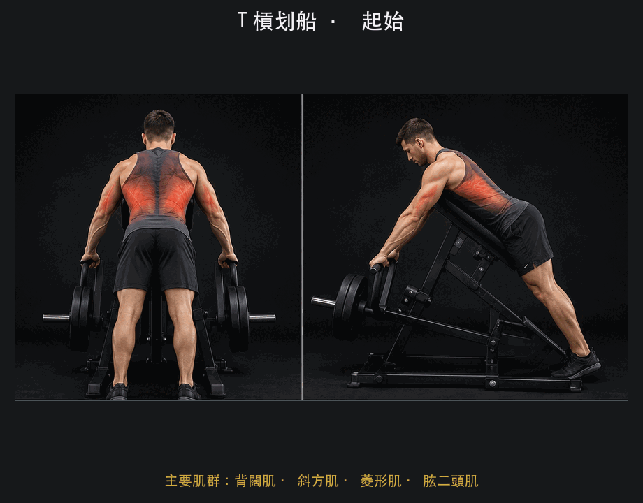 T 槓划船