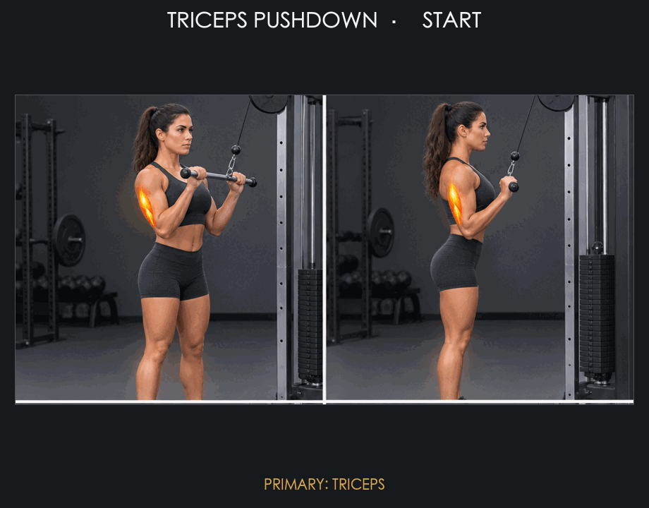 Triceps Pushdown