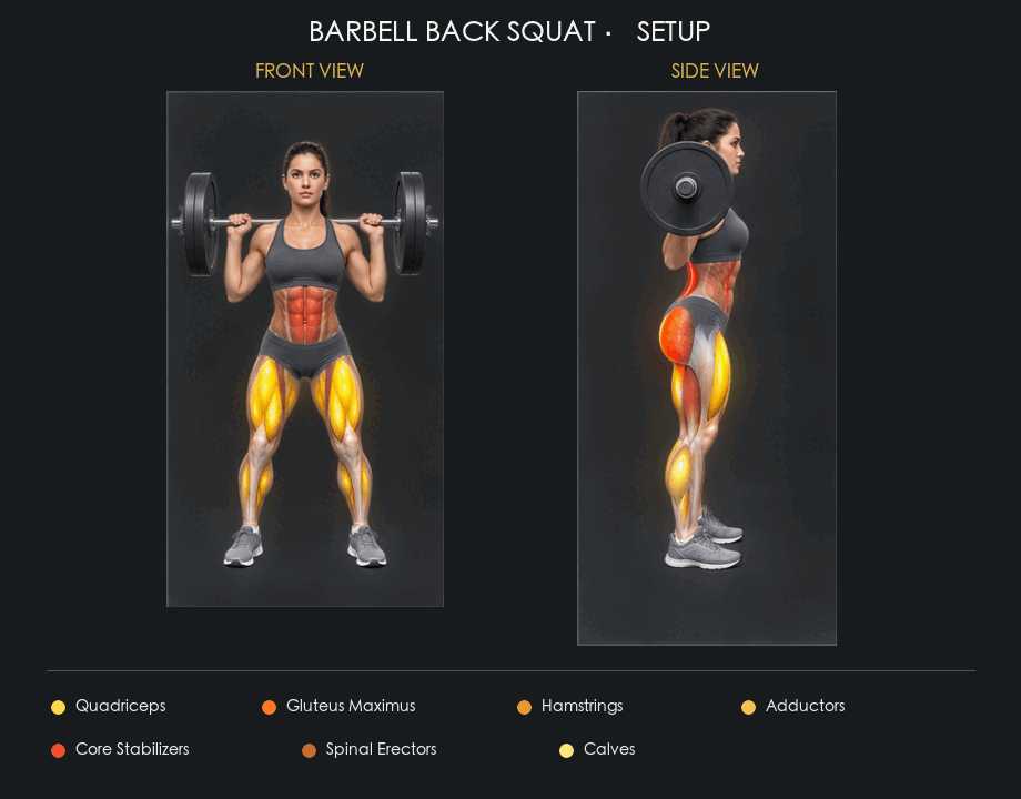 Back Squat